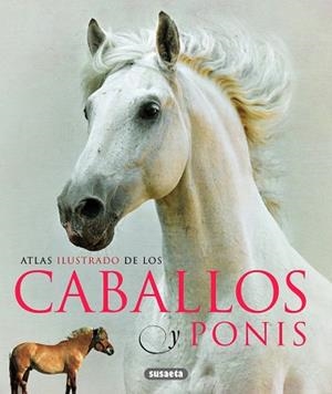 CABALLOS Y PONIS | 9788467713053 | RANSFORD, SANDY