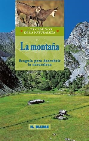 MONTAÑA  LA | 9788489840324 | AA.VV.