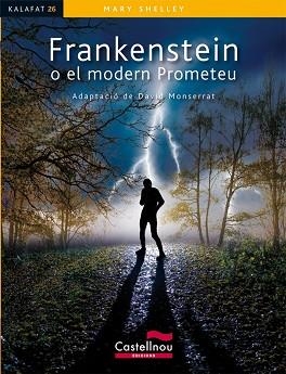 FRANKENSTEIN O EL MODERN PROMETE | 9788498047011 | SHELLEY, MARY W.