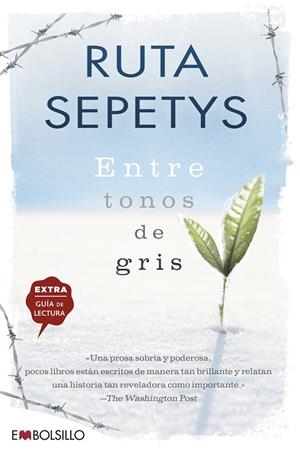 ENTRE TONOS DE GRIS | 9788415140672 | SEPETYS RUTA