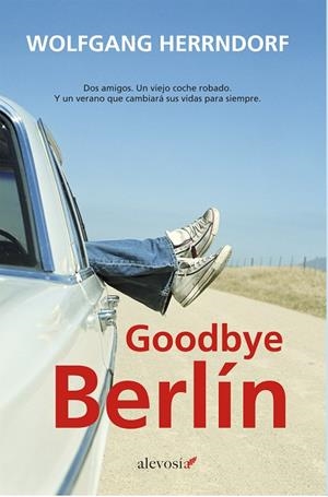 GOODBYE BERLIN | 9788415608165 | HERNDORF, WOLFGANG