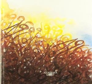 MI SIGLO ,  ILUSTRADO | 9788420441627 | GRASS GÜNTER