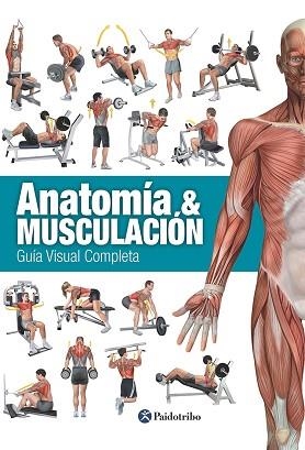 ANATOMÍA &amp; MUSCULACIÓN. GUÍA VISUAL COMPLETA (COLOR) | 9788499104911 | CÁNOVAS LINARES, RICARDO