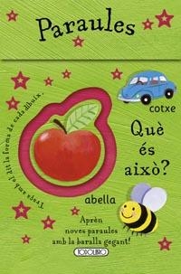 PARAULES | 9788499136998