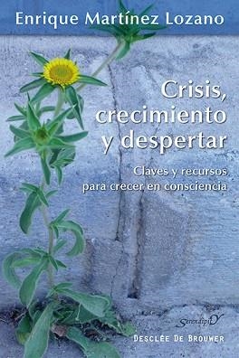 CRISIS, CRECIMIENTO Y DESPERTAR | 9788433026323 | MARTÍNEZ LOZANO, ENRIQUE