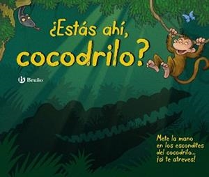 ¿ESTÁS AHÍ, COCODRILO? | 9788469604137 | VV. AA.