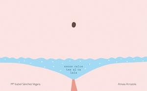 SENSE CALCETES AL CALAIX | 9788416670031 | SÁNCHEZ VEGARA, MARÍA ISABEL