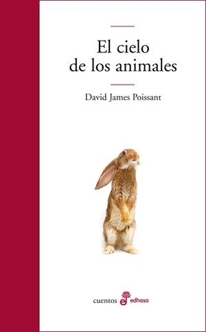 EL CIELO DE LOS ANIMALES | 9788435012416 | POISSANT DAVID