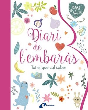DIARI DE L ' EMBARÀS. TOT EL QUE CAL SABER | 9788499067797 | VV. AA.