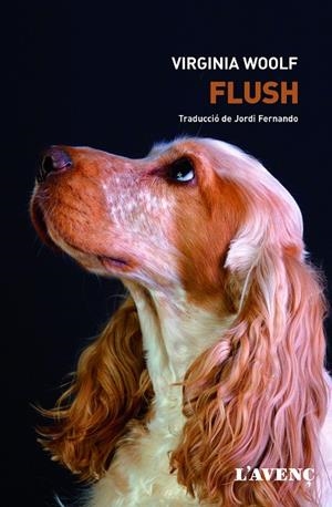 FLUSH | 9788416853090