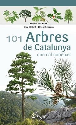 101 ARBRES DE CATALUNYA | 9788490346778 | LLOBET FRANçOIS, TONI/CARRERA BONET, DAVID