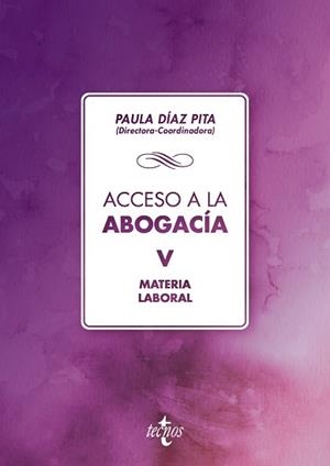 ACCESO A LA ABOGACÍA | 9788430974351 | DÍAZ PITA, Mª PAULA/CALVO GALLEGO, FRANCISCO JAVIER/CHOCRÓN GIRALDEZ, ANA MARÍA/CRUZ VILLALÓN, JESÚS
