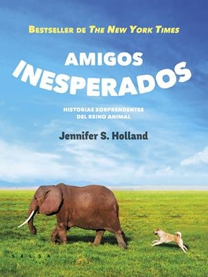 AMIGOS INESPERADOS | 9788415193401