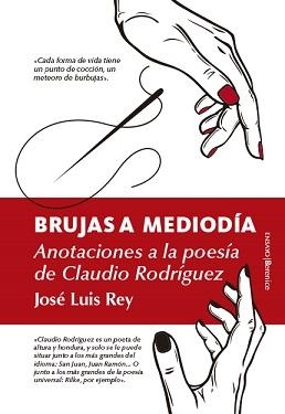 BRUJAS A MEDIODÍA. ANOTACIONES A LA VIDA Y OBRA DE CLAUDIO RODRÍGUEZ | 9788417797201 | REY, JOSÉ LUIS