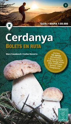 CERDANYA -BOLETS EN RUTA ALPINA | 9788480907958
