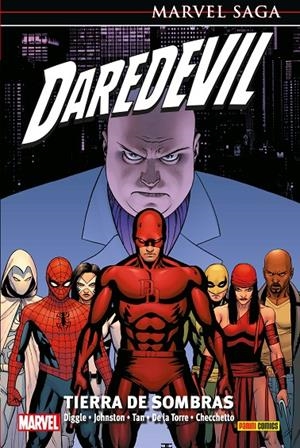 DAREDEVIL 23: TIERRA DE SOMBRAS | 9788491679967 | DIGGLE, ANDY/ TAN, BILLY/ DE LA TORRE, ROBERTO