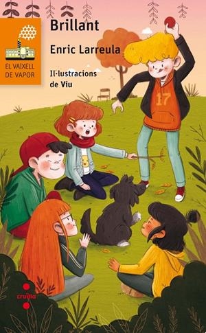 C-VVT.  9 BRILLANT | 9788466143905 | LARREULA, ENRIC