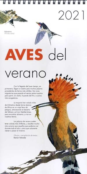 2021 CALENDARIO AVES DEL VERANO | 7427135519451