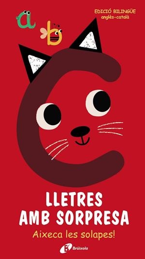 LLETRES AMB SORPRESA | 9788499063683 | VARIOS AUTORES