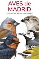 AVES DE MADRID - GUIAS DESPLEGABLES TUNDRA | 9788418458453 | HERNANDEZ, VICTOR J.
