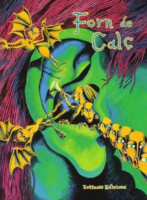 FORN DE CALÇ 2 | 9788494953385 | AAVV