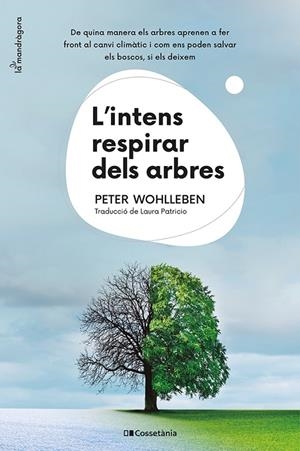 L'INTENS RESPIRAR DELS ARBRES | 9788413562087 | WOHLLEBEN, PETER