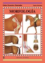 MORFOLOGIA | 9788425513695