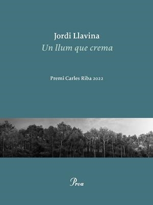 UN LLUM QUE CREMA | 9788475889979 | LLAVINA, JORDI