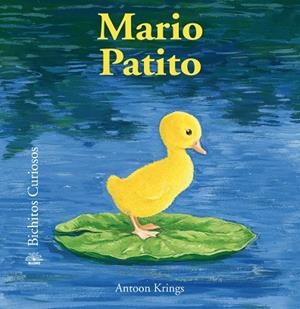 BICHITOS CURIOSOS. MARIO PATITO | 9788498018530 | KRINGS, ANTOON