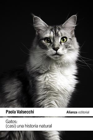 GATOS: (CASI) UNA HISTOR | 9788411485616 | VALSECCHI, PAOLA