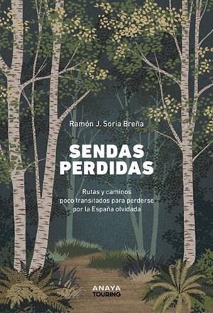 SENDAS PERDIDAS | 9788491588948 | SORIA BREÑA, RAMÓN J.