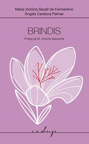 BRINDIS | 9788412991598 | SECALL DE FERMENTINO, MARIA VICTÒRIA / CARDONA PALMER, MARIA ÀNGELA