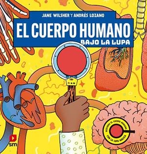EL CUERPO HUMANO BAJO LA LUPA | 9788411829021 | WILSHER, JANE