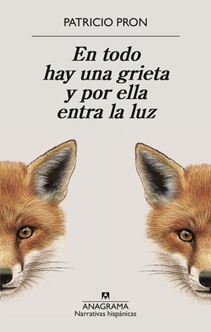 EN TODO HAY UNA GRIETA Y POR ELLA ENTRA LA LUZ | 9788433949158 | PRON, PATRICIO