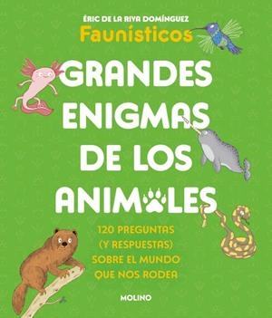 GRANDES ENIGMAS DE LOS ANIMALES (COLECCIÓN GRANDES ENIGMAS) | 9788427253698 | DE LA RIVA DOMÍNGUEZ (FAUNÍSTICOS), ÉRIC