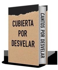 SIN TITULO EMPIREO (NO LIBRO 4) EDICION LIMITADA CON CANTOS TINTADOS | 9788408326861 | YARROS, REBECCA