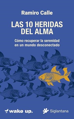 LAS 10 HERIDAS  DEL ALMA | 9788410179745 | CALLE, RAMIRO