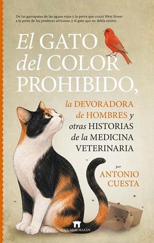 EL GATO DEL COLOR PROHIBIDO, LA DEVORADORA DE HOMBRES Y OTRAS HISTORIAS DE LA ME | 9791387941314 | CUESTA, ANTONIO