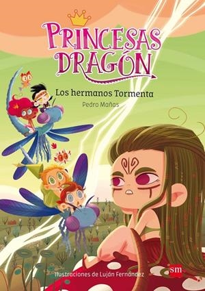 PRINCESAS DRAGÓN 5: LOS HERMANOS TORMENTA | 9788491073116 | MAÑAS ROMERO, PEDRO