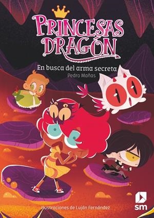 PRINCESAS DRAGÓN 13: EN BUSCA DEL ARMA SECRETA | 9788413922812 | MAÑAS ROMERO, PEDRO