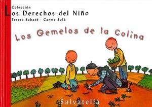 LOS GEMELOS DE LA COLINA | 9788484121916 | SABATE,TERESA/SOLA,CARME