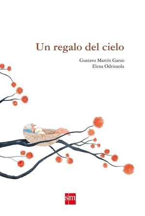 UN REGALO DEL CIELO | 9788467518078 | MARTIN, GUSTAVO / ODRIOZOLA, ELENA