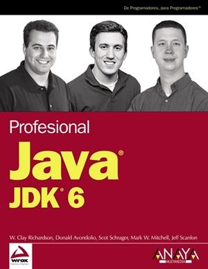 JAVA JDK 6 PROFESIONAL | 9788441522206